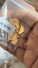 Mini baby feet charm