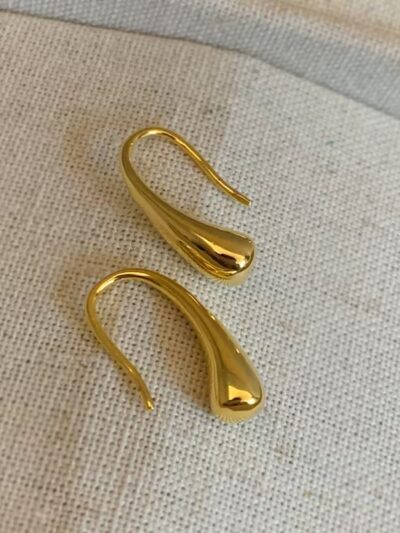 Water drop fish hook earrings